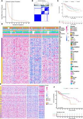 A Combined Epithelial Mesenchymal Transformation and DNA Repair Gene Panel in Colorectal Cancer With Prognostic and Therapeutic Implication